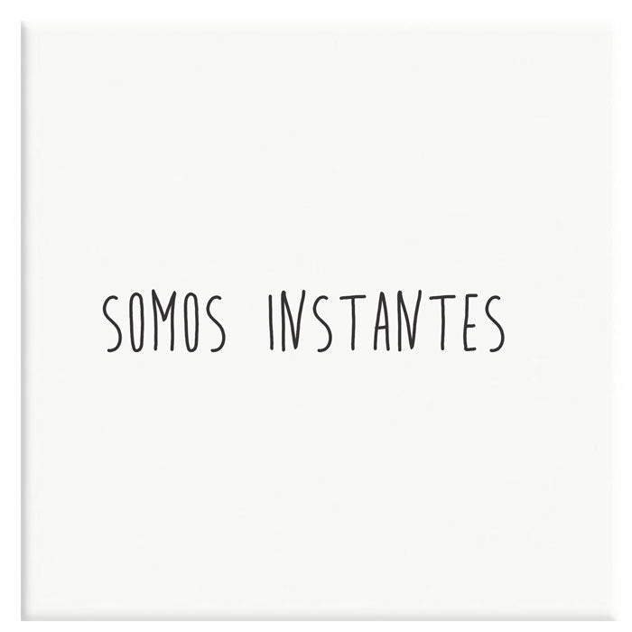 Azulejo Decorativo Somos Instantes